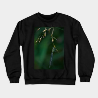 WHEN IT RAINS... YOU WILL FIND US AS DAMSEL DROPLETS Crewneck Sweatshirt